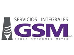 Logo Servicios Integrales GSM